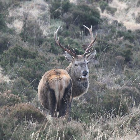 Casa Poco Bed & Breakfast Ballachulish Bagian luar foto